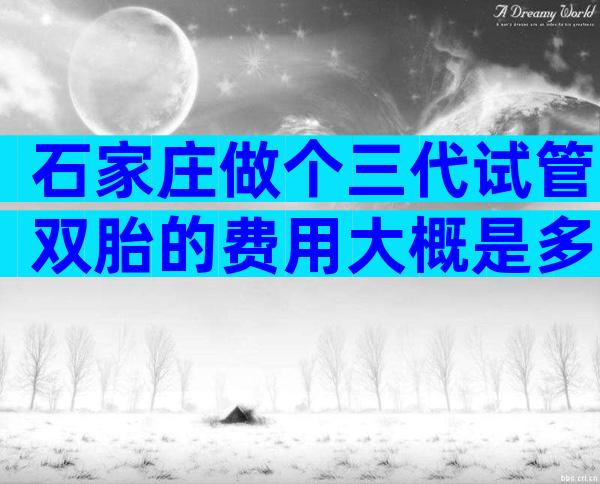 石家庄做个三代试管双胎的费用大概是多少？试管婴儿价格？