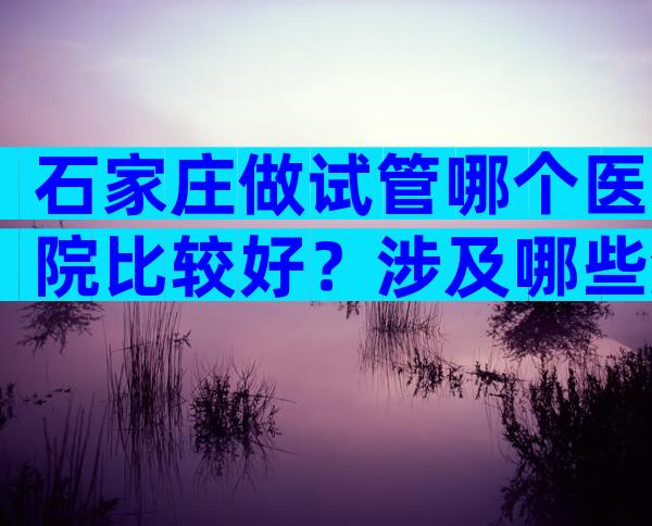 石家庄做试管哪个医院比较好？涉及哪些流程