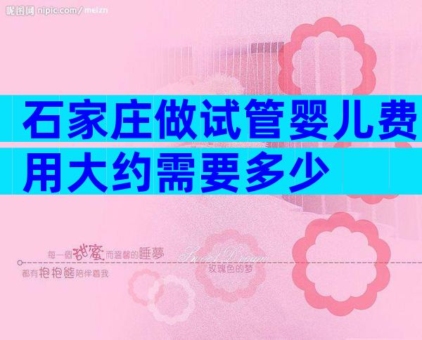石家庄做试管婴儿费用大约需要多少