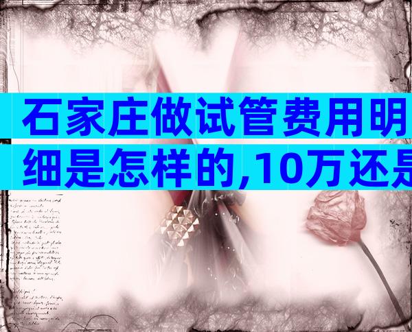 石家庄做试管费用明细是怎样的,10万还是15万