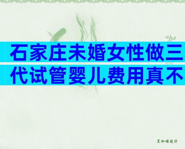石家庄未婚女性做三代试管婴儿费用真不贵，详细价格表爆出