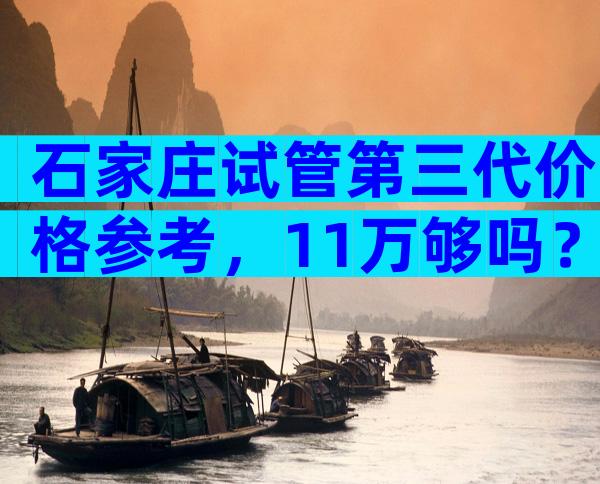 石家庄试管第三代价格参考，11万够吗？