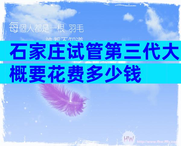 石家庄试管第三代大概要花费多少钱