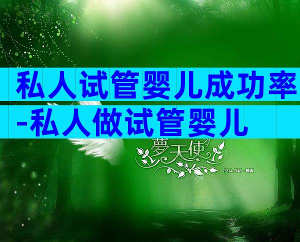私人试管婴儿成功率-私人做试管婴儿