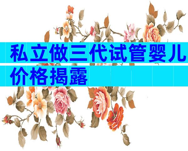 私立做三代试管婴儿价格揭露