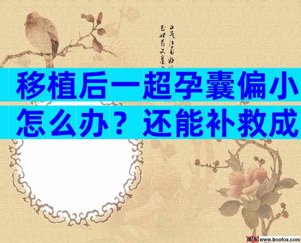 移植后一超孕囊偏小怎么办？还能补救成功吗？