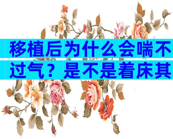 移植后为什么会喘不过气？是不是着床其实很好判断？