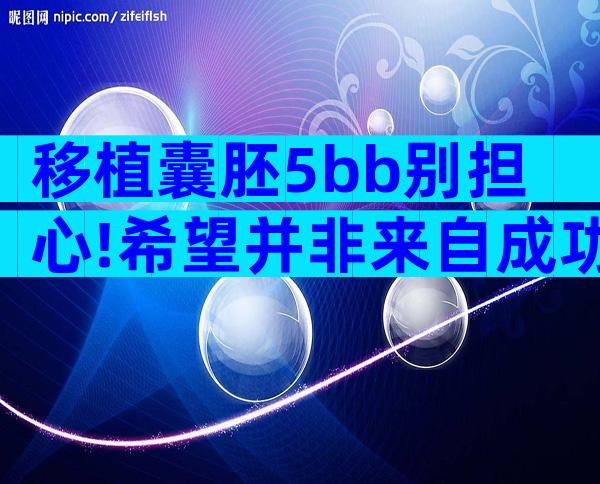 移植囊胚5bb别担心!希望并非来自成功率,质量奠定基础