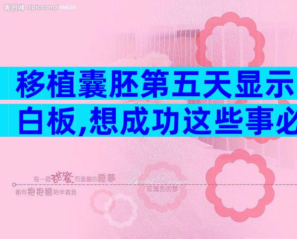 移植囊胚第五天显示白板,想成功这些事必须做到位