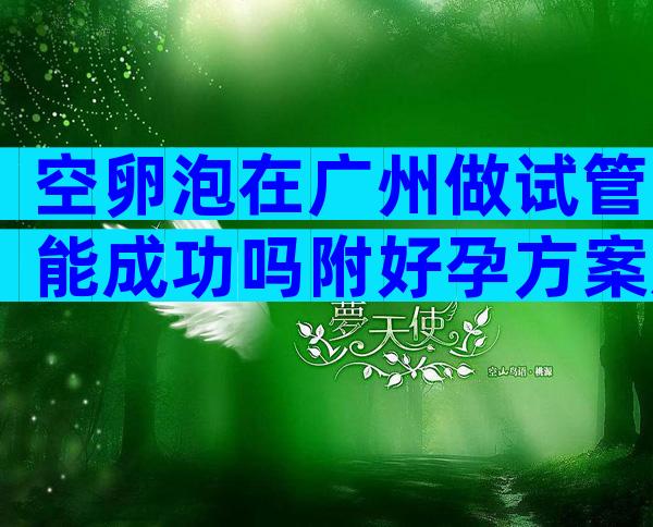 空卵泡在广州做试管能成功吗附好孕方案及费用详情