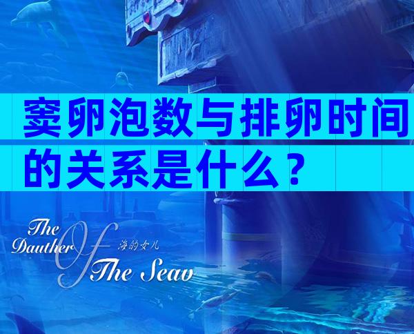 窦卵泡数与排卵时间的关系是什么？