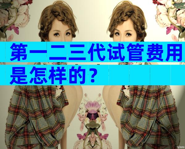 第一二三代试管费用是怎样的？