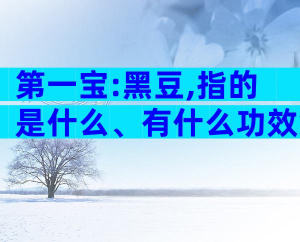 第一宝:黑豆,指的是什么、有什么功效集锦