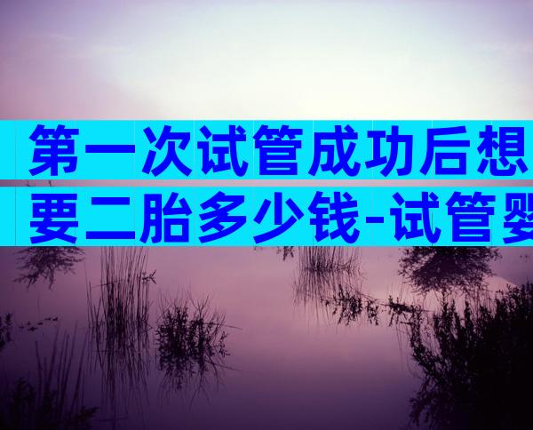 第一次试管成功后想要二胎多少钱-试管婴儿成功一胎后第二胎成功率更高吗