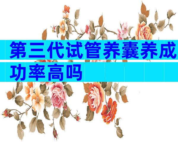 第三代试管养囊养成功率高吗