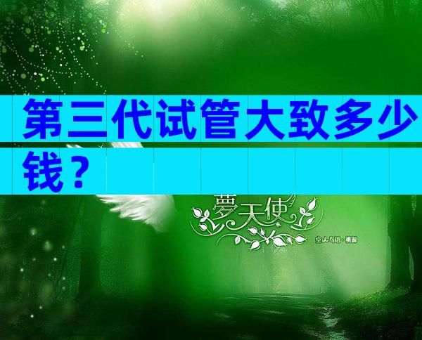 第三代试管大致多少钱？