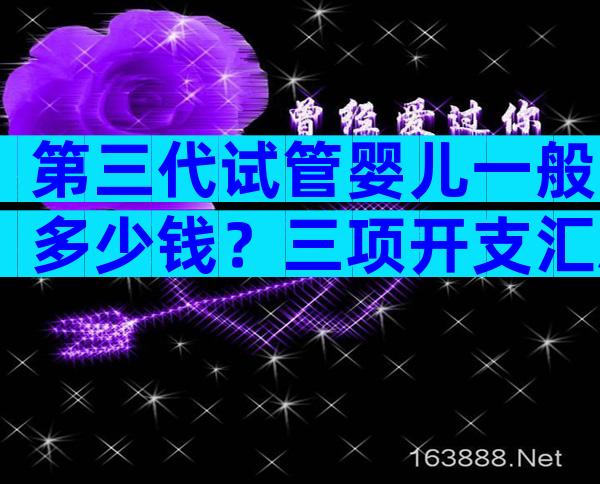 第三代试管婴儿一般多少钱？三项开支汇总大概需要6万元