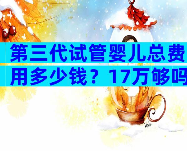 第三代试管婴儿总费用多少钱？17万够吗？