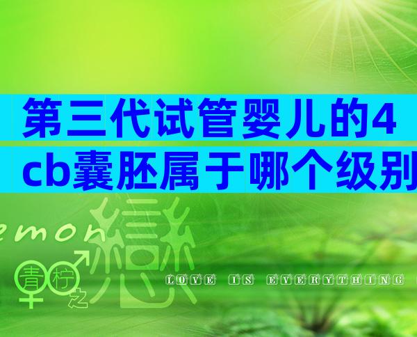 第三代试管婴儿的4cb囊胚属于哪个级别？