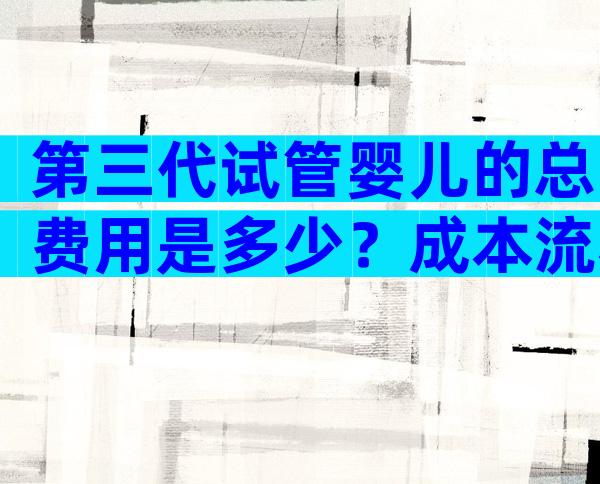 第三代试管婴儿的总费用是多少？成本流程列表。