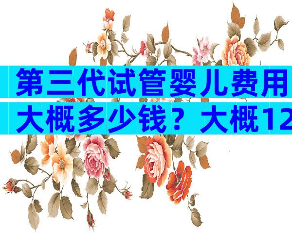 第三代试管婴儿费用大概多少钱？大概12万吗？