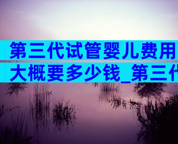 第三代试管婴儿费用大概要多少钱_第三代试管婴儿医院