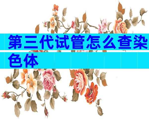 第三代试管怎么查染色体
