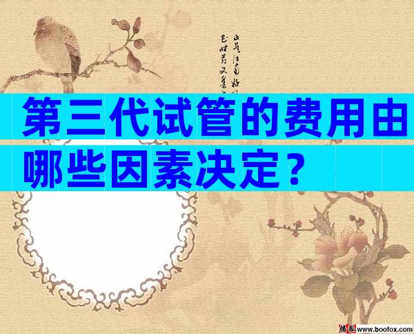 第三代试管的费用由哪些因素决定？