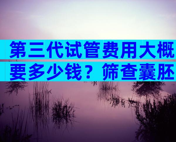 第三代试管费用大概要多少钱？筛查囊胚费用就占一大部分