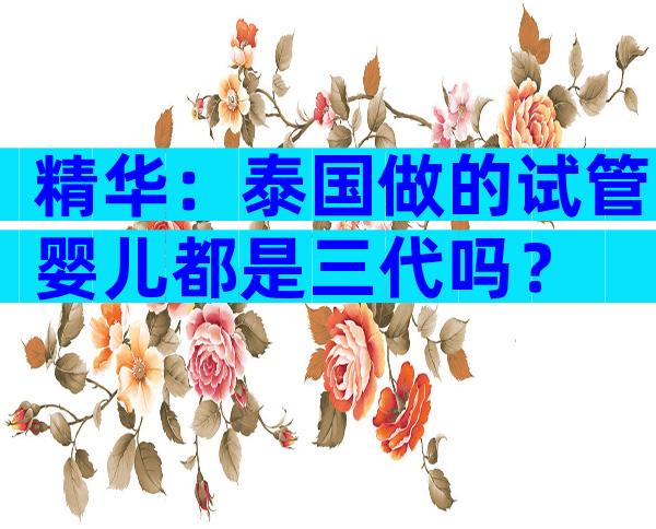 精华：泰国做的试管婴儿都是三代吗？
