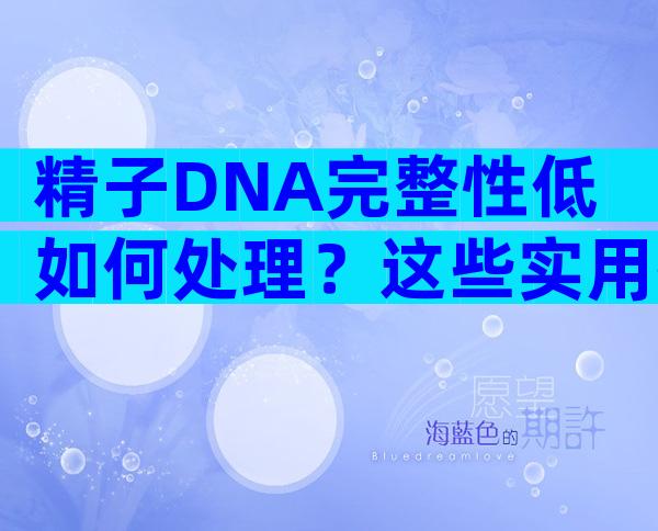 精子DNA完整性低如何处理？这些实用指南值得收藏！