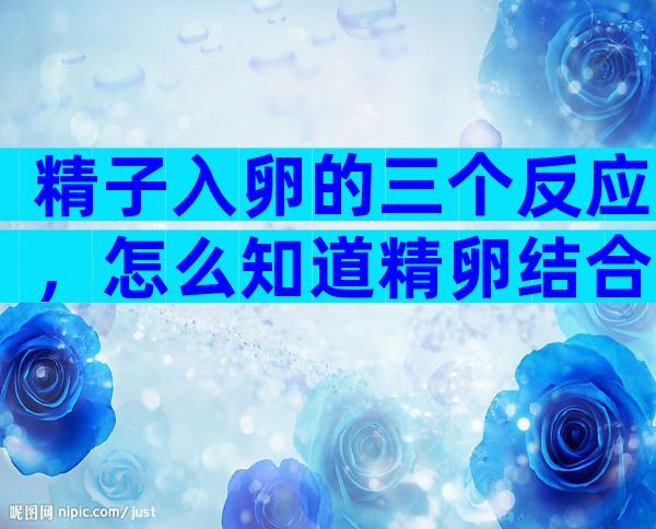 精子入卵的三个反应，怎么知道精卵结合了没？