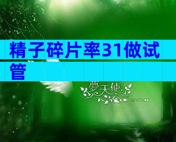 精子碎片率31做试管