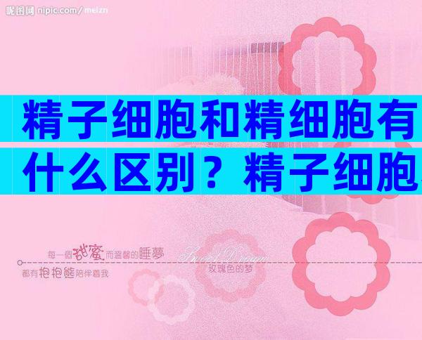 精子细胞和精细胞有什么区别？精子细胞和精细胞的区别