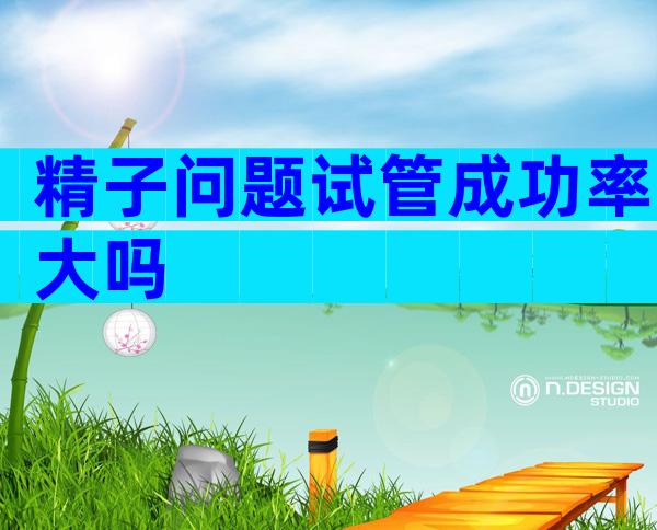 精子问题试管成功率大吗