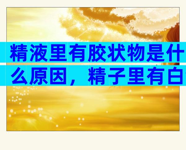 精液里有胶状物是什么原因，精子里有白色的胶状物是什么