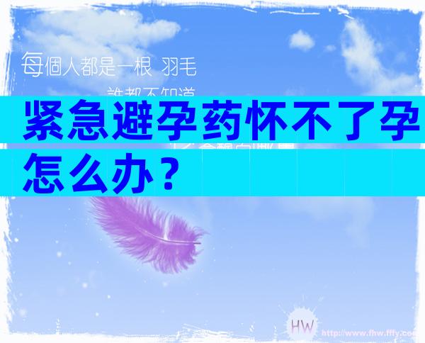 紧急避孕药怀不了孕怎么办？