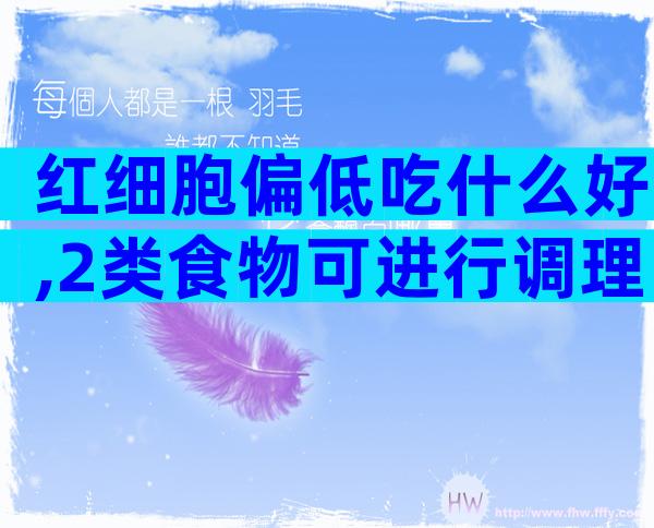 红细胞偏低吃什么好,2类食物可进行调理!