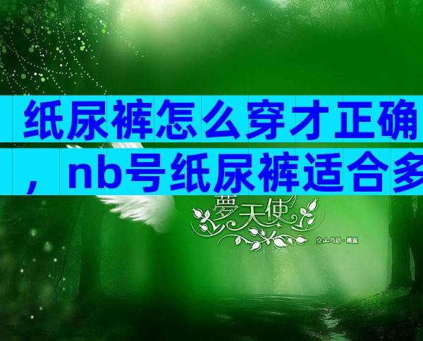纸尿裤怎么穿才正确，nb号纸尿裤适合多大宝宝
