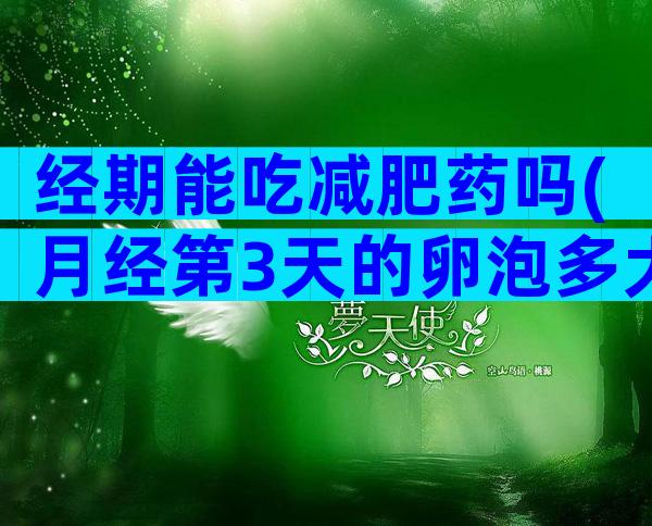 经期能吃减肥药吗(月经第3天的卵泡多大？)