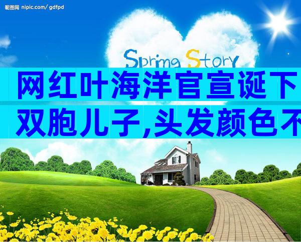 网红叶海洋官宣诞下双胞儿子,头发颜色不同,单胎胎心照引质疑