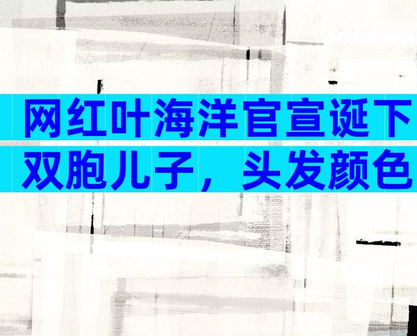 网红叶海洋官宣诞下双胞儿子，头发颜色不同，单胎胎心照引质疑