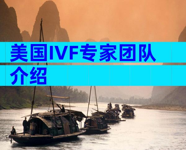 美国IVF专家团队介绍