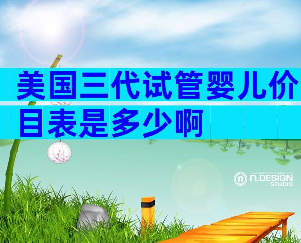 美国三代试管婴儿价目表是多少啊