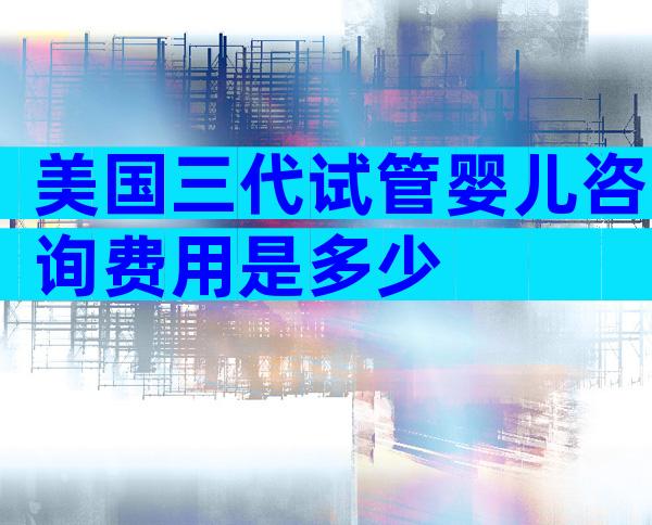美国三代试管婴儿咨询费用是多少