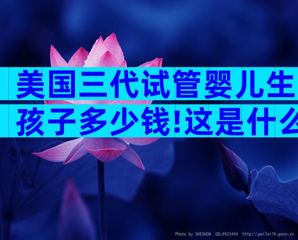 美国三代试管婴儿生孩子多少钱!这是什么意思!