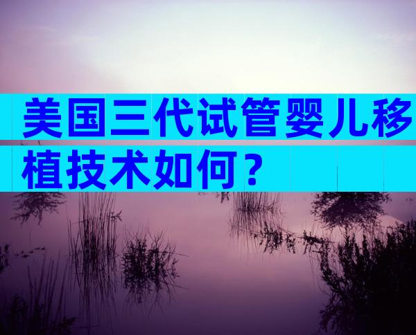 美国三代试管婴儿移植技术如何？