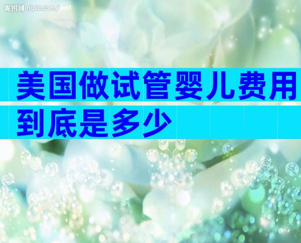 美国做试管婴儿费用到底是多少