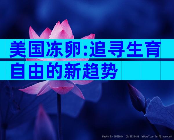 美国冻卵:追寻生育自由的新趋势