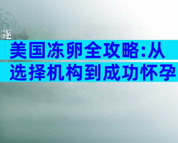 美国冻卵全攻略:从选择机构到成功怀孕的每一步详解